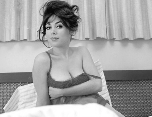 From Small-Town Beginnings to Hollywood’s Silver Screen
